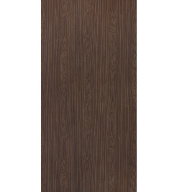 American Walnut 