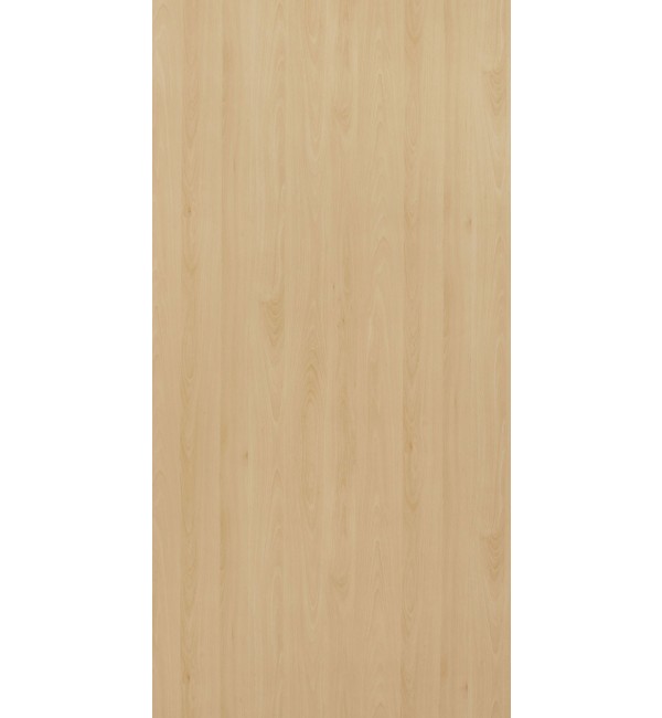 Mangfall Beech