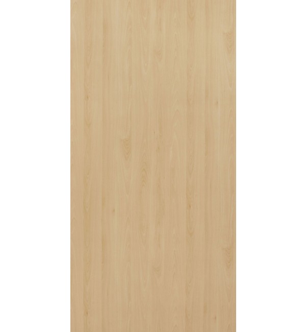 Mangfall Beech