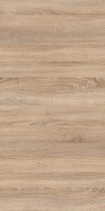 Auckland Oak
