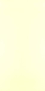 Mysore Ivory