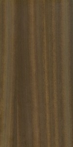 Sapele