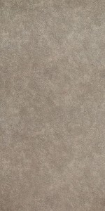 Euclid Grey