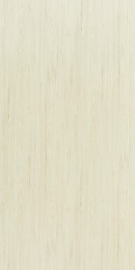 Argent Elm