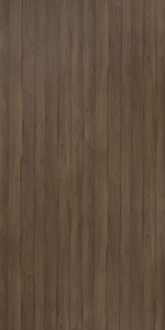 Neoteric Oak
